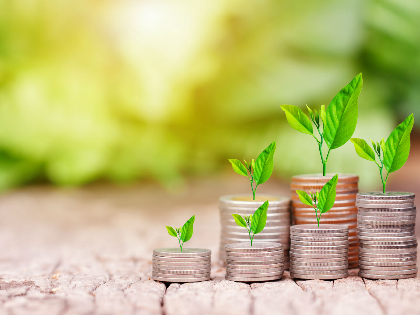 Jungle Ventures Makes First Close Of $175 Mn Third Fund