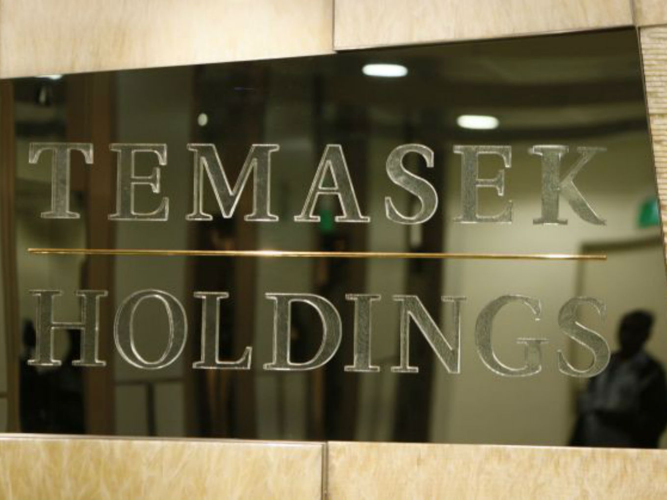 Singapore State Investment Body Temasek Sees Dip In Portfolio Value