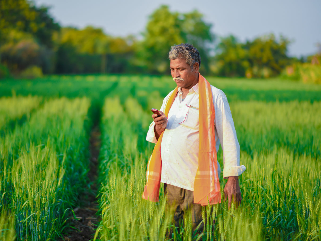 Govt Launches Vernacular Agro Advisory App Meghdoot For Farmers