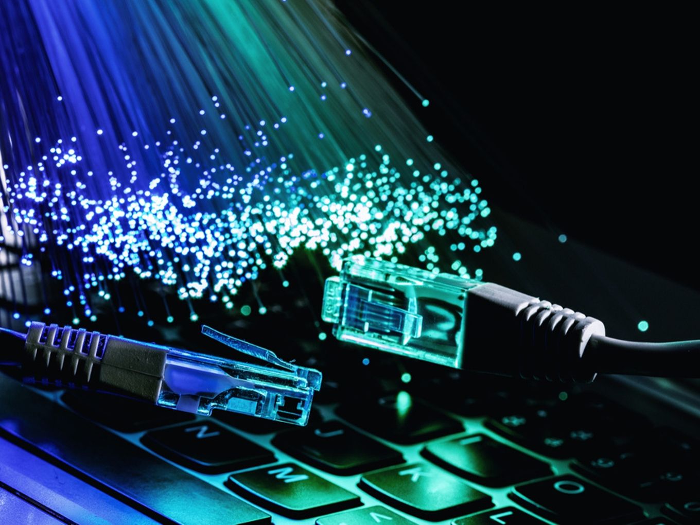 Govt Ties Up With STL For Skilled Specialists In Optical Fibre Networks