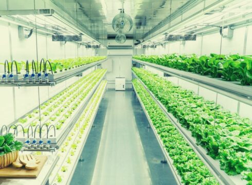 AgTech Trends You Should Look Out For In 2020