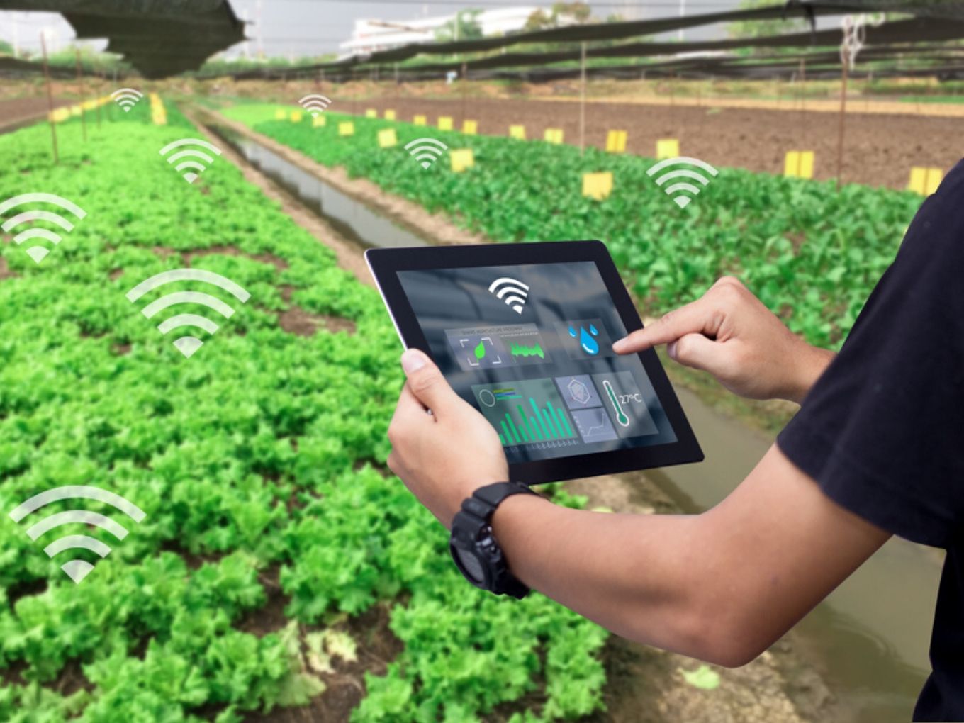 Pioneering Ventures Acquires Agritech Company Lateral Praxis