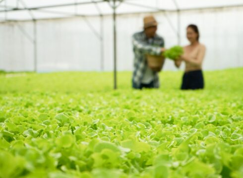 Why Contract Farming Could Be The Next Big Thing For Agritech Startups