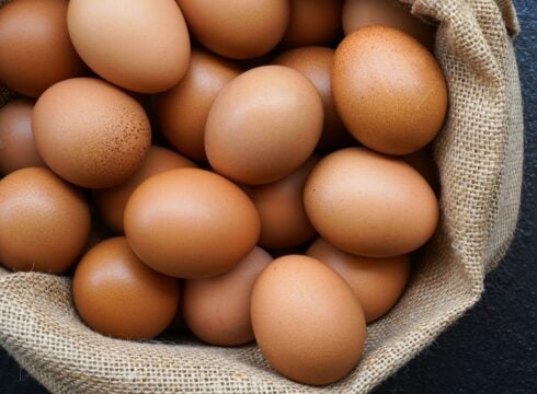 Egg Procurement And Delivery Startup Eggoz Raises Series A Funds