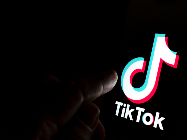 TikTok A National Security Threat, India Set An Important Precedent With Ban: US Official