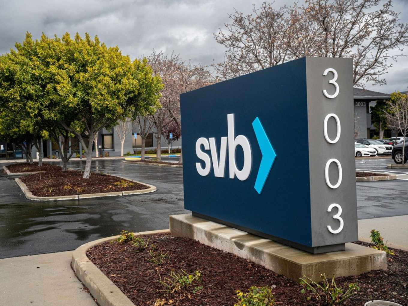 What next for startups exposed through Silicon Valley Bank collapse?