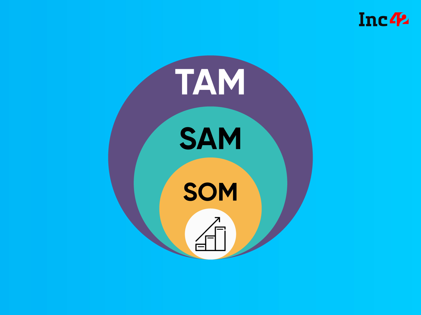 Total Addressable Market (TAM)