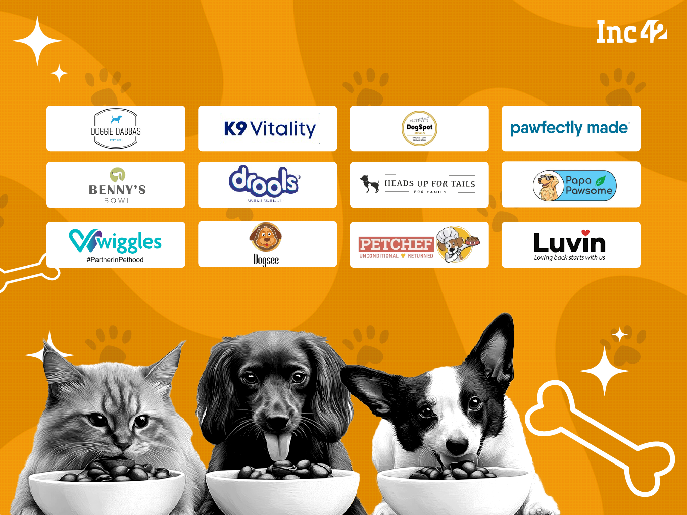12 Pet Care D2C Startups For The Wellness Of Our Furry Friends