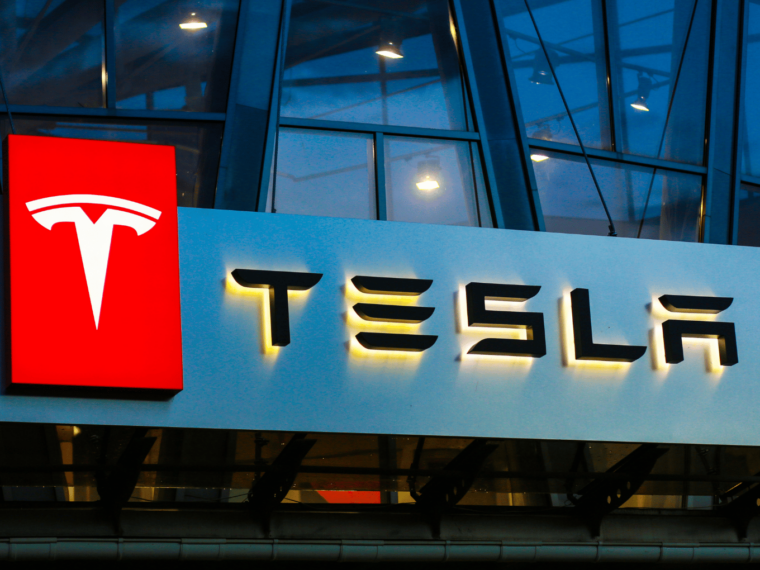 Andhra Woos Tesla For EV Manufacturing Facility: Report